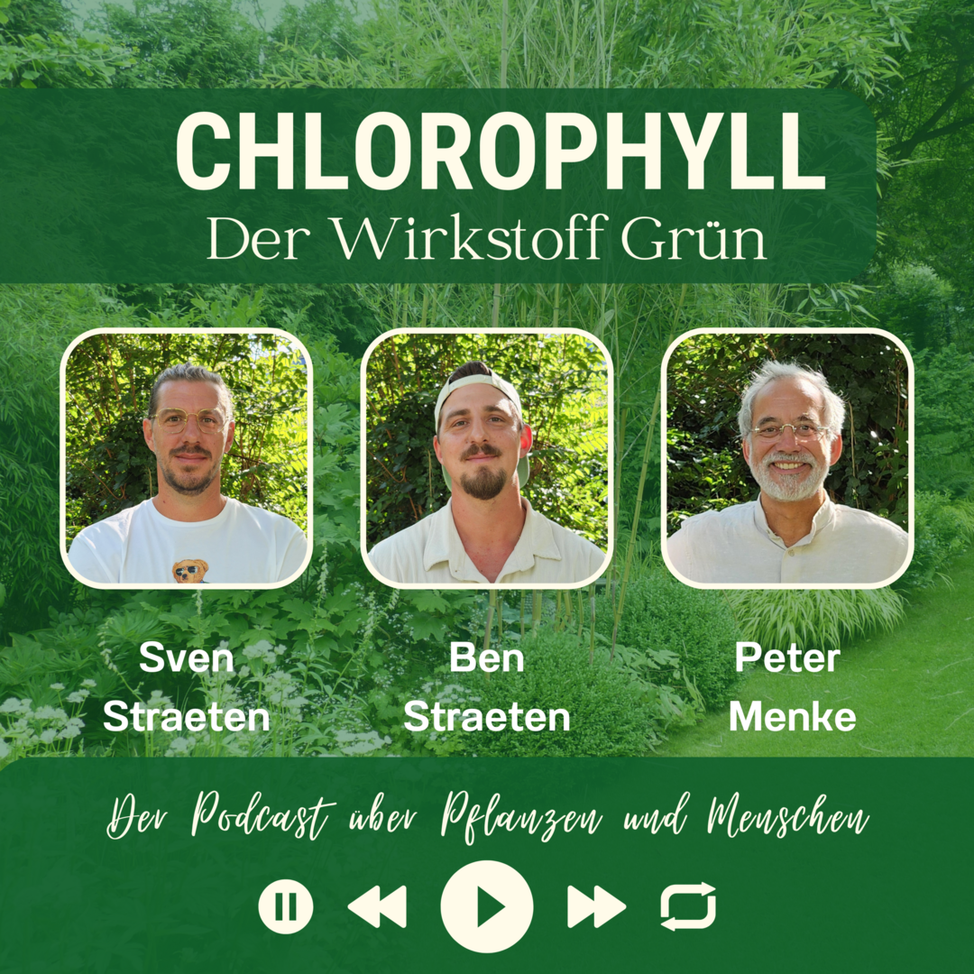 Peter Menke spricht mit Sven und Ben Straeten ber die Folgen des Klimawandels und deren Auswirkungen auf Zchtungsziele und Sortimentsentwicklung, aber auch ber heie Themen wie Torf, Wasser, Energie und Fachkrftebindung.