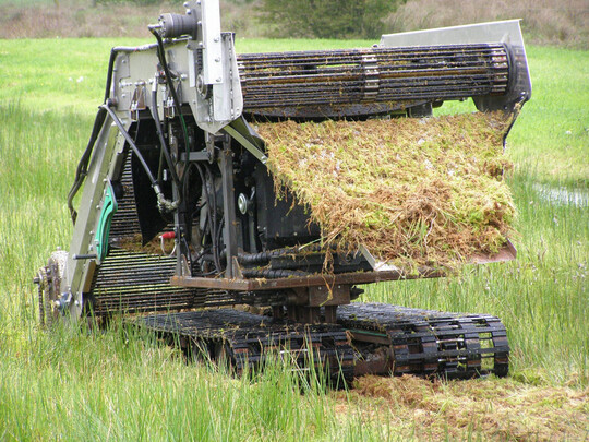 Stabfrderband und Erntegutrutsche auf der Raupe.