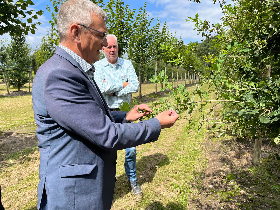 Ralf Steinmeister (rechts) erlutert dem Abgeordneten Wilhelm Korth die richtige Baumpflege.