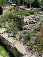 Bienen und Blütesind überall Thema.