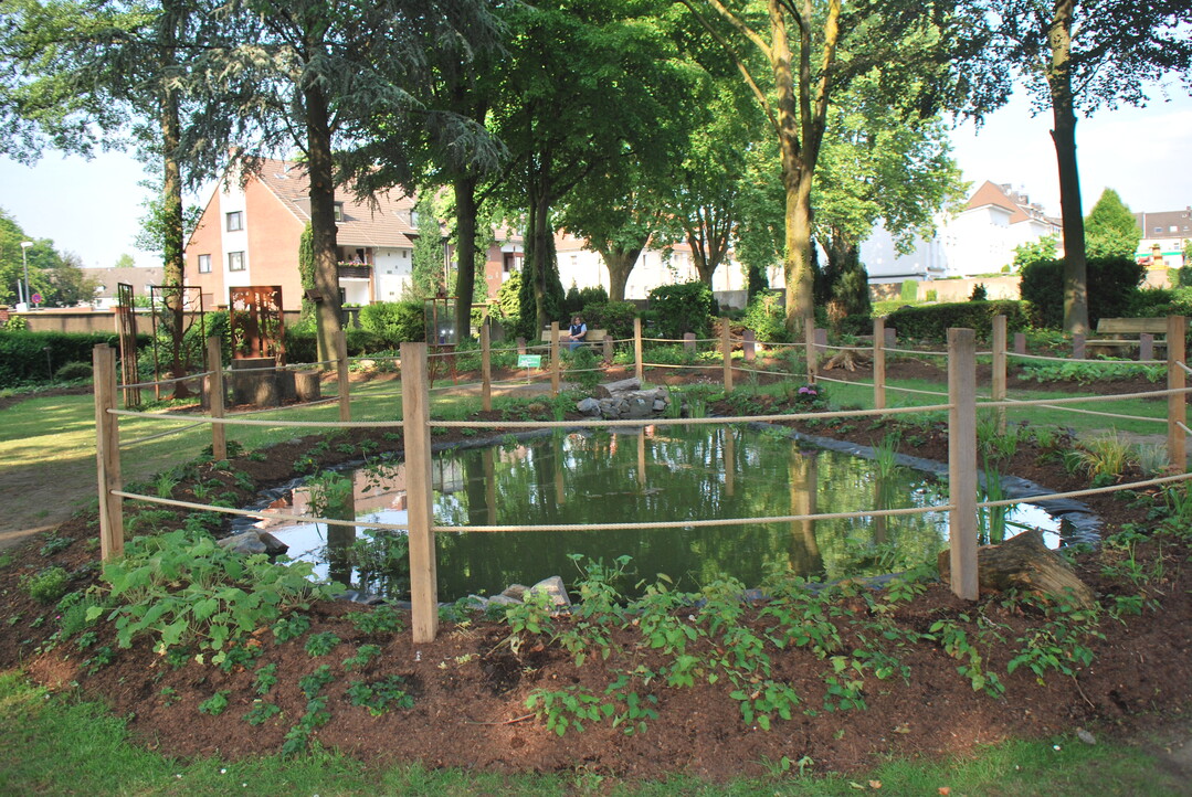 Der Teich bildet den Mittelpunkt des neuen NaturRuh-Areals auf dem St. Josef-Friedhof in Gelsenkirchen-Schalke.