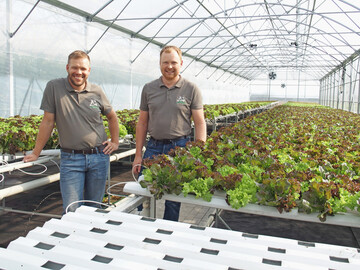 Die IseBauern Stefan Pieper (links) und Marcus Meyer kultivieren neben den Tomaten auch Blatt-Salate in Hydrokultur.