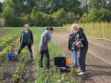 Mehrere Menschen stehen auf einem Feld