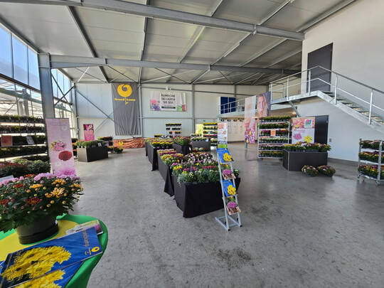 Die Firma Bosch Plants in Broekhuizen stellte freundlicherweise ihre Versandhalle zur Verfgung.