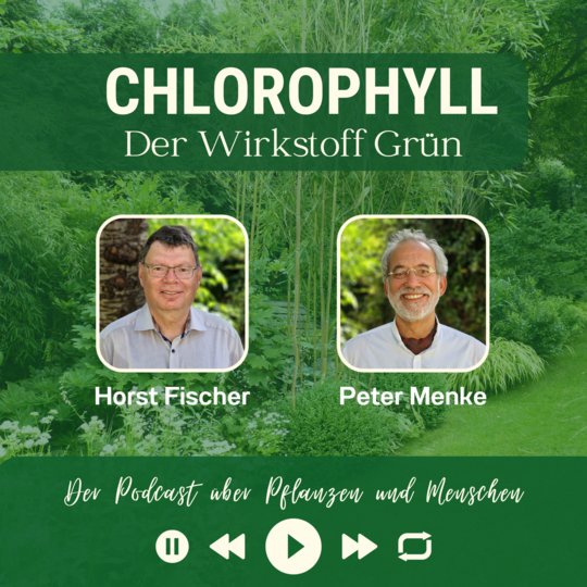 In dieser Folge von "CHLOROPHYLL - der Wirkstoff Grn" steht die IGA 2027 im Mittelpunkt und mit ihr Themen wie Lebensqualitt und Gesundheit, vernderte Mobilitt, Naturrume und auch Biodiversitt.