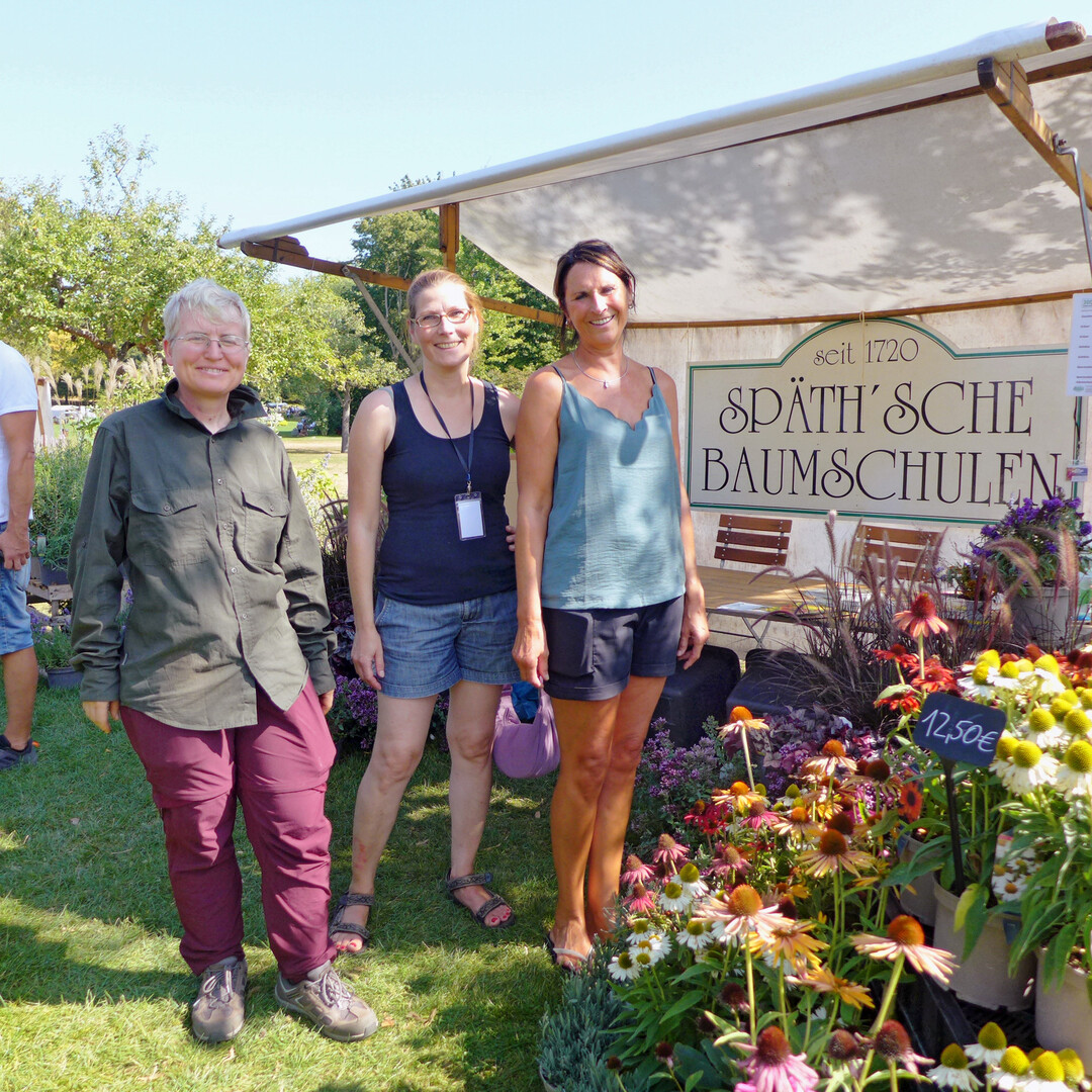 Fr die Spthschen Baumschulen in 12437 Berlin-Baumschulenweg verkauften (von links) Doreen Erdmann, Antje Pofahl und Bianca Mller Stauden auf dem Markt in Berlin-Britz.
