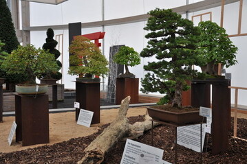 Die BUGA-Besucher werden gleich am Eingang der Halle Sd ins Thema der 13. Hallenschau eingefhrt. Hier gibt es einen berblick ber verschiedene Bonsai-Techniken.