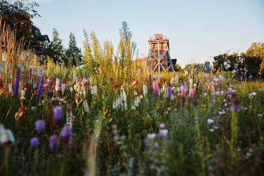 Das Gradierwerk und der revitalisierte Kurpark standen im Zentrum der Gartenschau.
