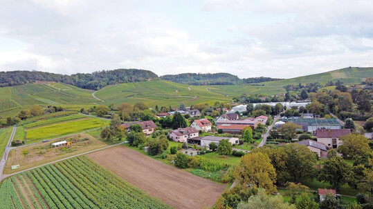 Der Betrieb Umbach liegt idyllisch in der Heilbronner Weinberglandschaft.