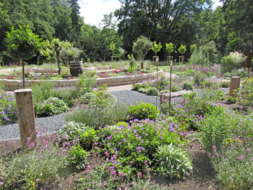 Der Hauptfriedhof Hamburg-Altona bietet seit kurzem speziell gestaltete Erinnerungsgrten mit naturnahem Charakter.