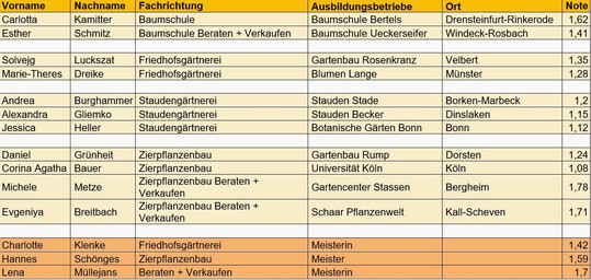 Die ausgezeichneten Azubis und Meister