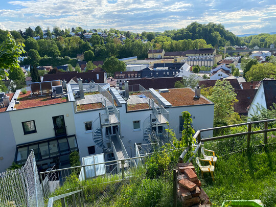 Die Dachbegrnung ist Ausbildungsinhalt im neuen Lehrberuf Klimagrtner/in.