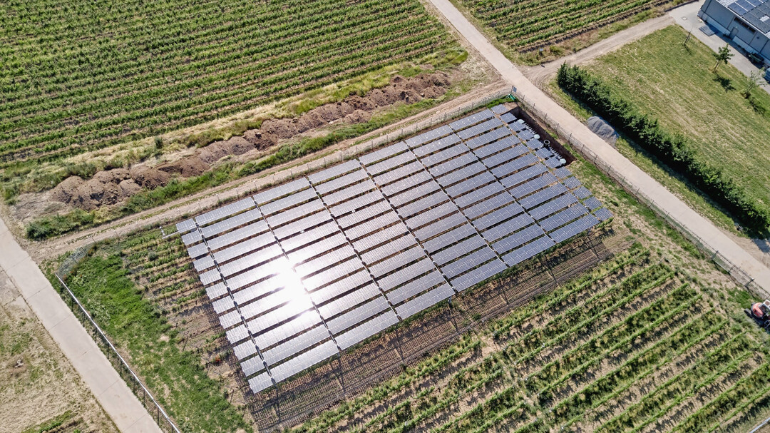 Energiegewinnung im Weinberg an der Hochschule Geisenheim: Multifunktionale Weinbausysteme sind ein Forschungsschwerpunkt des geplanten Innovationszentrums.