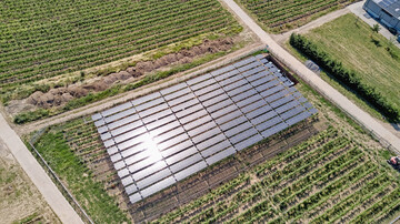 Energiegewinnung im Weinberg an der Hochschule Geisenheim: Multifunktionale Weinbausysteme sind ein Forschungsschwerpunkt des geplanten Innovationszentrums.