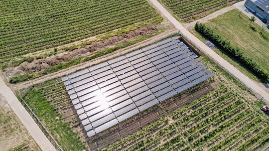 Energiegewinnung im Weinberg an der Hochschule Geisenheim: Multifunktionale Weinbausysteme sind ein Forschungsschwerpunkt des geplanten Innovationszentrums.