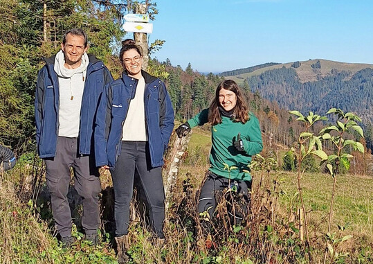 Von links: Christof Burgbacher, Head of Corporate Sustainability, Alina Esswein, Mitarbeiterin Corporate Sustainability und Theresa Knig, Auszubildende Grtnerei Europa-Park.