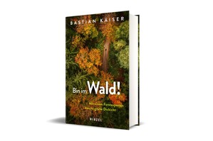 Bin im Wald!