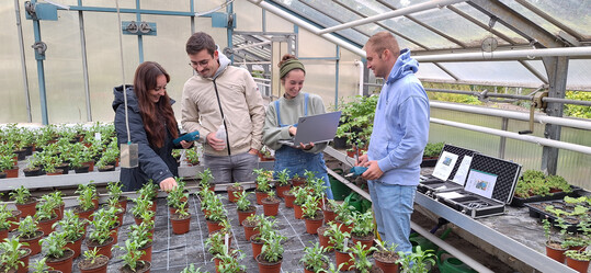 Fr eine gute Verknpfung von Theorie und Praxis sorgen an der Fachschule fr Gartenbau in Essen auch die Unterrichtsergebnisse aus den eigenen Gewchshusern.
