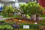 Aussteller Gärtnerei Förth, Neusorg. Foto: DBG