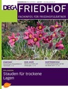 Cover DEGA FRIEDHOF 02/2017