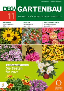 Cover DEGA GARTENBAU 11/2020