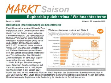 Die AMI bietet einen wchentlichen Infodienst whrend der Saison der Weihnachtssterne.