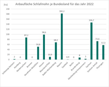 Bayern ist Spitzenreiter beim Anbau von Schlafmohn