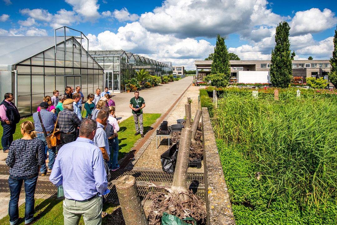 Führungen im Gartenbauzentrum erläuterten Versuchsvorhaben. Hendrik Averdieck stellte einen Versuch zur Standfestigkeit von Alleebäumen in Abhängigkeit von den Anzuchtgefäßen vor.