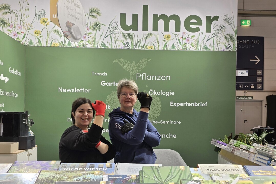 Impressionen vom Aufbau am Vortag der IPM ESSEN 2025