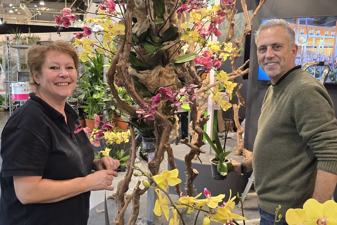 Impressions of the construction on the day before IPM ESSEN 2025