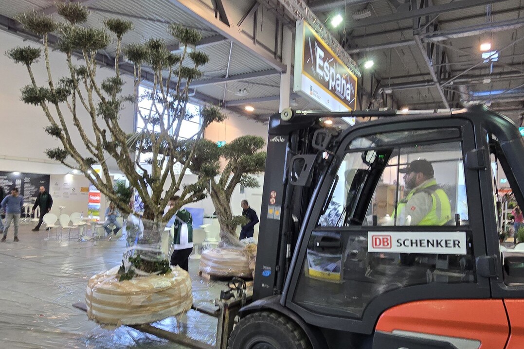 Impressionen vom Aufbau am Vortag der IPM ESSEN 2025