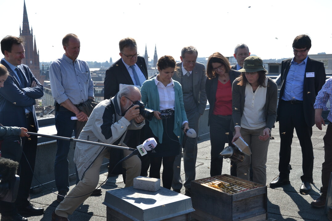 Auftakt Landeskampagne „Bienenfreundliches Hessen“ auf dem Dach der Staatskanzlei