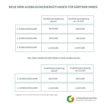 Die Ausbildungsvergtungen betragen ab dem 1. August 2023 fr das 1. Jahr 890  (vorher 850 ), fr das 2. Jahr 990  (vorher 950 ) und fr das 3. Jahr 1.200  (vorher 1.150 ).