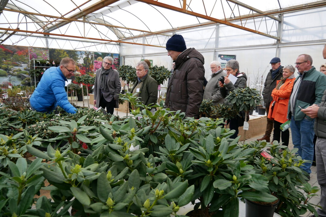 Holger Hachmann aus Barmstedt präsentierte das Sortiment an Rhododendron und Ahorn Züchtungen der Baumschule Hachmann.
