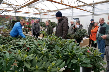 Holger Hachmann aus Barmstedt prsentierte das Sortiment an Rhododendron und Ahorn Zchtungen der Baumschule Hachmann.