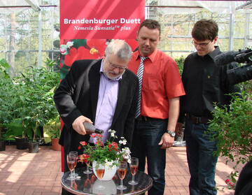 Agrarstaatssekretr Rainer Bretschneider (von links) tauft mit Cecilie - einem roten Secco
vom Werderaner Wachtelberg, also aus der Region  die Pflanze des Jahres 2011 im Beisein von Jrg Kirstein, Prsident des Landesverbandes Gartenbau Brandenburg, sowie Betriebsinhaber
Christian Buba.