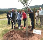 Bundeslandwirtschaftsministerin Julia Klöckner (Mitte re.) pflanzt mit Antje Lezius (Mitglied des Bundestages, Mitte li.), Helmut Selders (Präsident des Bundes deutscher Baumschulen, li.) und Dr. Matthias Schneider (Landrat, re.) den Baum des Jahres 2018, eine Ess-Kastanie, im rheinland-pfälzischen Schmißberg.