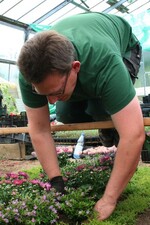 Konzentriert wurde an den Mustergräbern gearbeitet. Dabei kamen
Techniken wie auf Gartenschauen zum Einsatz.