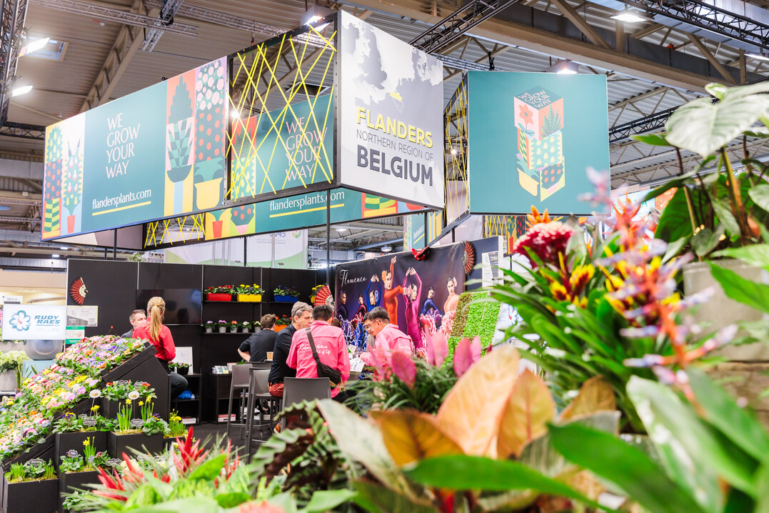 A total of 33 exhibitors from Belgium are presenting their product ranges in Halls 2, 6, and 8 this year.