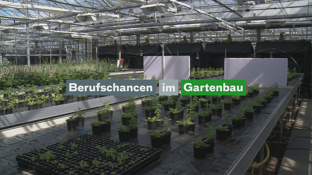 Neuer Film zu den Berufschancen im Gartenbau