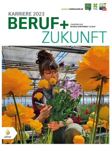 Die DEGA-Broschre "Beruf+Zukunft" gibt Impulse fr Absolventen.