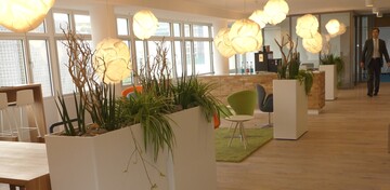 Die Gefe fr den groen kommunikativen Pausen- und Aufenthaltsbereich leben vom sparsameren Besatz mit Pflanzen wie Sanseveria Mikado und Chlorophytum (Graslilie) in Kombination mit Beach Pebbles (Strandgestein), Muscheln, Treibholzstckchen und gebleichtem Gest.