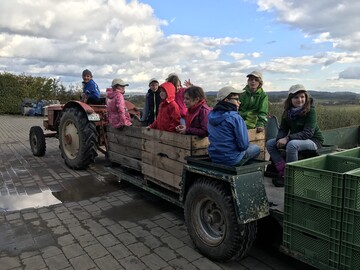 Freie Fahrt aufs Feld: Die Minigrtner aus Winnenden auf dem Traktor-Taxi von Georg Adrion
