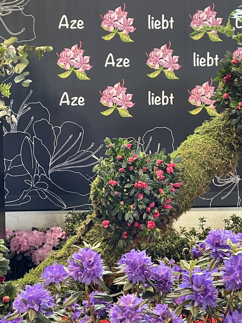 1. Hallenschau BUGA Mannheim 2023: Aze liebt Lea!