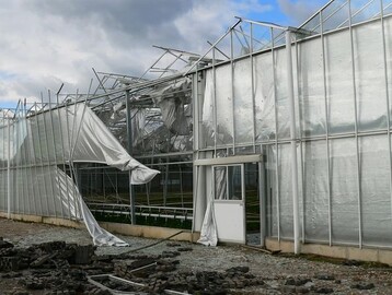 Eine Windhose verursachte in Geldern einen groen Gewchshausschaden.