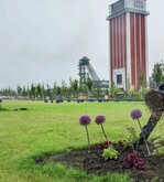 Bild des Monats (Ausschnitt)