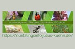 Unter nuetzlingsinfo.julius-kuehn.de sind Informationen über den Einfluss von Pflanzenschutzmitteln auf nützliche Insekten und Spinnentiere abrufbar.