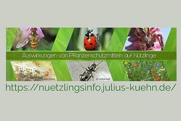 Unter nuetzlingsinfo.julius-kuehn.de sind Informationen ber den Einfluss von Pflanzenschutzmitteln auf ntzliche Insekten und Spinnentiere abrufbar. 