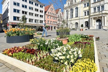 Rathausplatz Ingolstadt 