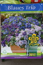 Erhältlich sind die Verbenen „Blaues Trio“ in allen Rheinland-Pfälzer Gärtnereien, die mit
dem Zeichen „Balkonpflanze des Jahres“ in ihrem Betrieb werben.